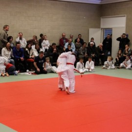 IMG 3099  Small - Judoclub Zaventem 